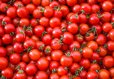 కుప్పకూలిన టమాటా ధర