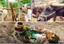 ఏరువాకతో కొత్త సాగుకు శ్రీకారం