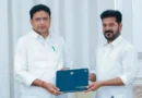 ఈ క్యాబినెట్ విధానానికి ప్రభుత్వం గ్రీన్ సిగ్నల్
