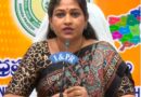 జగన్‌ను టార్గెట్ చేసిన అనిత